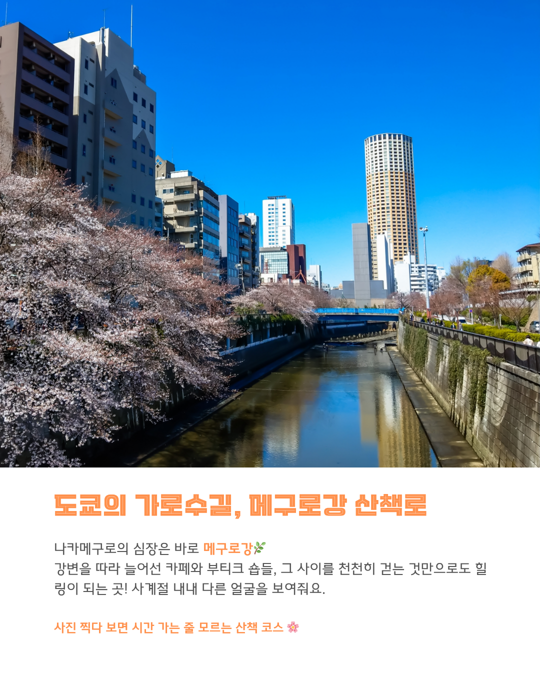 메구로강 산책로